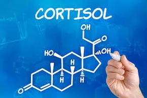 4 Ways To Lower Cortisol Levels Naturally