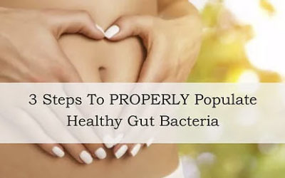 3 Steps To Properly Populate Healthy Gut Bacteria