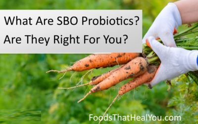 What Are SBO Probiotics? Are They Right For You?