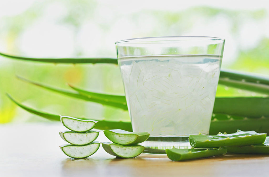 Raw Aloe Vera |  7 Health Powerful Health Benefits
